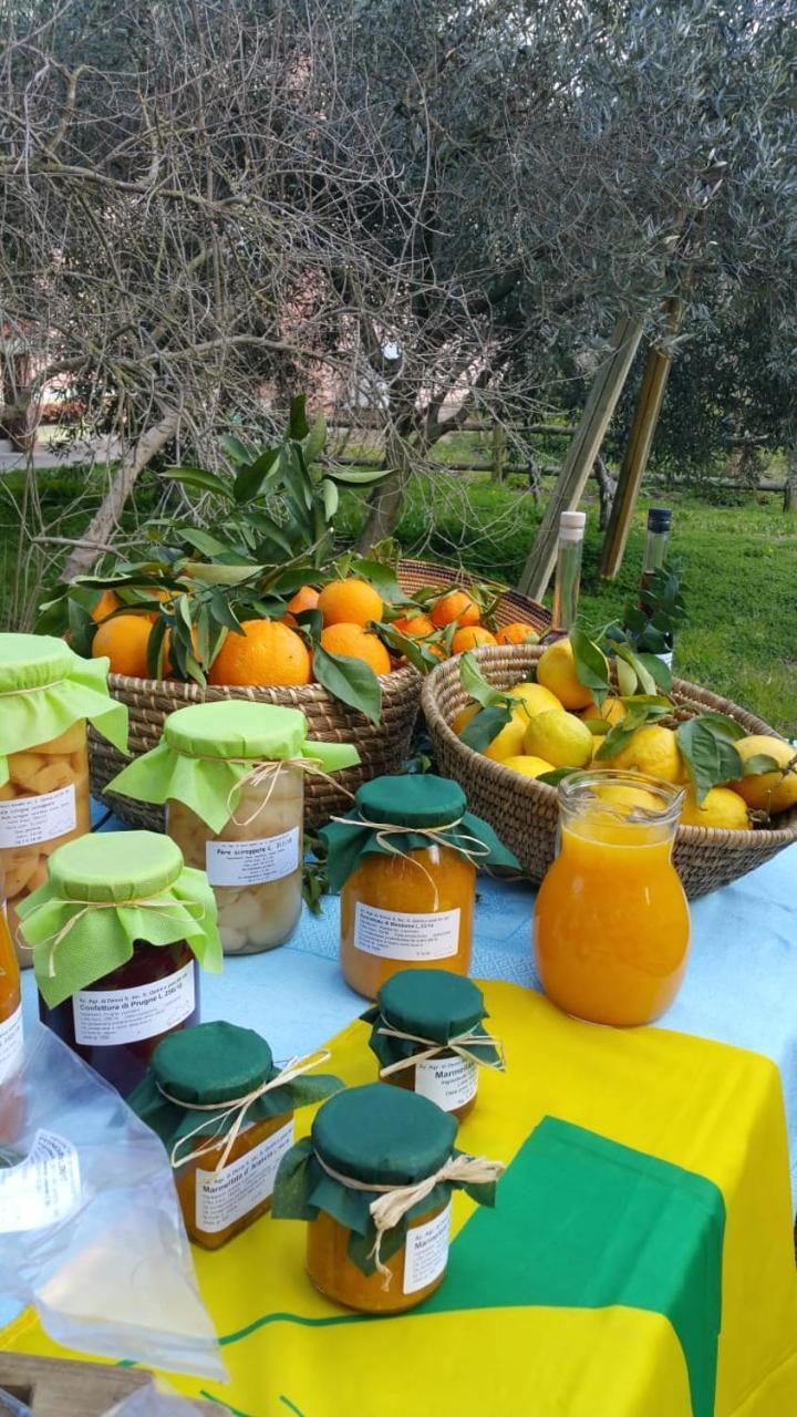 Agriturismo Archelao Oristano Zewnętrze zdjęcie